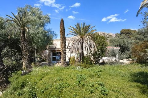 Masia a Elda, Alicante, Elda - € 172.000 | Ref: CSPX-15352 - foto 20