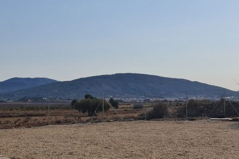 Villa a Pinoso, Alicante, Pinoso - € 299.995 | Ref: CSPX-39865 - foto 18