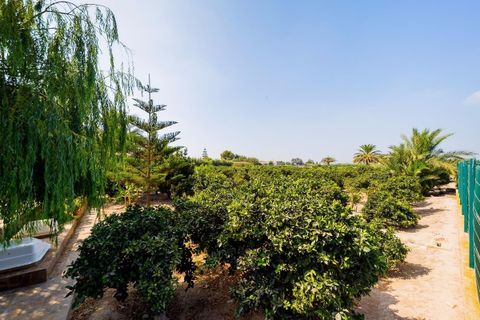Landejendom i Almoradi, Alicante, Almoradi - € 1.300.000 | Ref: CSPX-63036 - foto 21