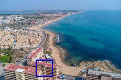 Leilighet i Torrevieja, Alicante, Torrevieja - € 175 000 | Ref: CSPX-87874 - foto 13