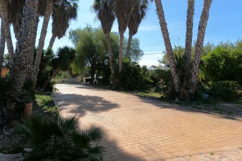 Villa i Dolores, Alicante, Dolores - € 375.000 | Ref: CSPH-79183 - foto 21