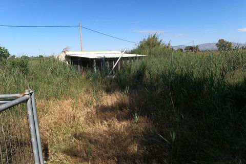 Villa i Dolores, Alicante, Dolores - € 375.000 | Ref: CSPH-79183 - foto 42