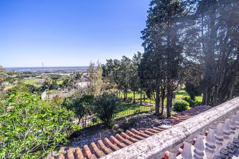 Villa a Palmela, Setubal, Palmela - € 850.000 | Ref: CAS_1364 - foto 16
