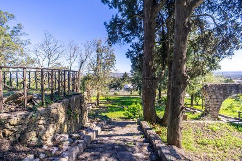 Villa a Palmela, Setubal, Palmela - € 850.000 | Ref: CAS_1364 - foto 28