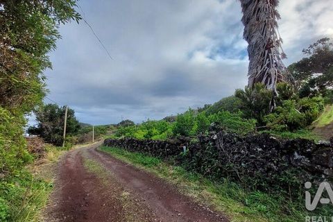 Helårsgrund i Lajes do Pico, Pico, Lajes do Pico - € 85.000 | Ref: 830344 - foto 1