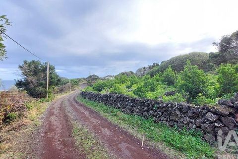 Helårsgrund i Lajes do Pico, Pico, Lajes do Pico - € 85.000 | Ref: 830344 - foto 2