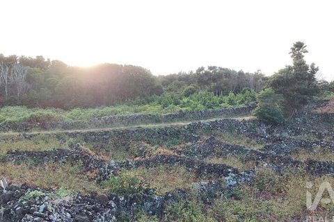 Helårsgrund i Lajes do Pico, Pico, Lajes do Pico - € 85.000 | Ref: 830344 - foto 4