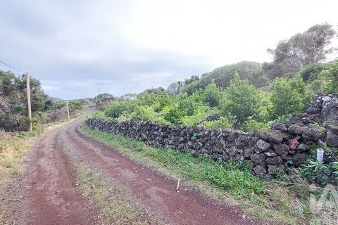 Helårsgrund i Lajes do Pico, Pico, Lajes do Pico - € 85.000 | Ref: 830344 - foto 5