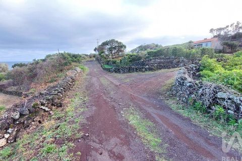 Helårsgrund i Lajes do Pico, Pico, Lajes do Pico - € 85.000 | Ref: 830344 - foto 6
