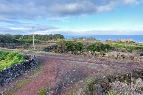 Helårsgrund i Lajes do Pico, Pico, Lajes do Pico - € 85.000 | Ref: 830344 - foto 7
