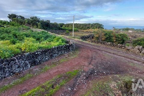 Helårsgrund i Lajes do Pico, Pico, Lajes do Pico - € 85.000 | Ref: 830344 - foto 8