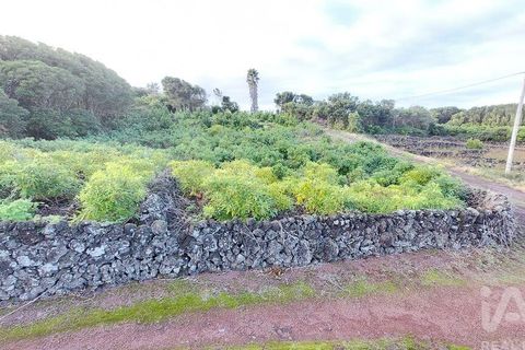 Helårsgrund i Lajes do Pico, Pico, Lajes do Pico - € 85.000 | Ref: 830344 - foto 9