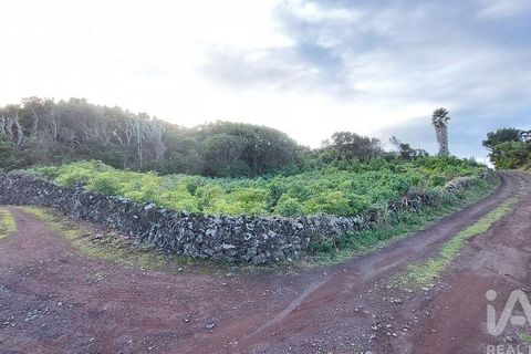 Helårsgrund i Lajes do Pico, Pico, Lajes do Pico - € 85.000 | Ref: 830344 - foto 10
