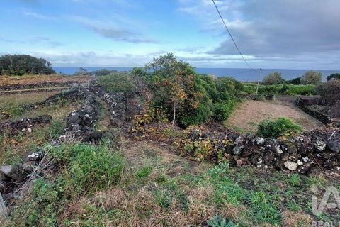Helårsgrund i Lajes do Pico, Pico, Lajes do Pico - € 85.000 | Ref: 830344 - foto 11
