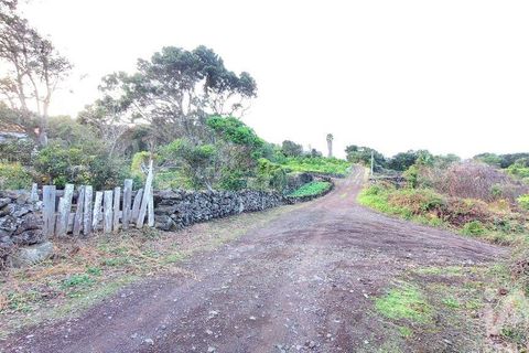 Helårsgrund i Lajes do Pico, Pico, Lajes do Pico - € 85.000 | Ref: 830344 - foto 12