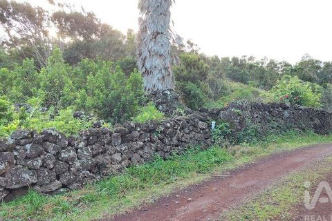 Helårsgrund i Lajes do Pico, Pico, Lajes do Pico - € 85.000 | Ref: 830344 - foto 13