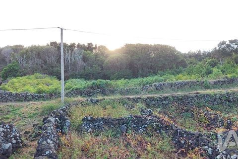 Helårsgrund i Lajes do Pico, Pico, Lajes do Pico - € 85.000 | Ref: 830344 - foto 14