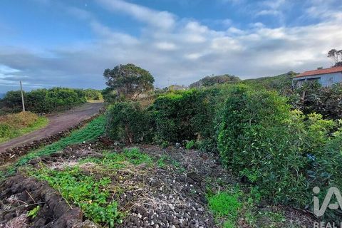 Helårsgrund i Lajes do Pico, Pico, Lajes do Pico - € 85.000 | Ref: 830344 - foto 15