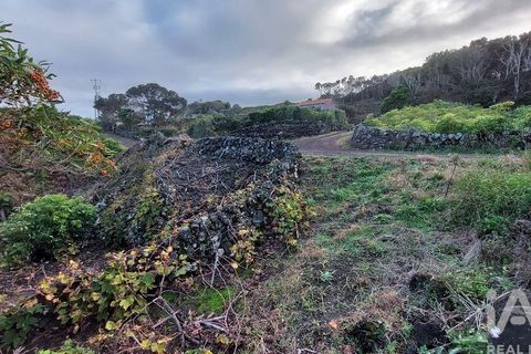 Helårsgrund i Lajes do Pico, Pico, Lajes do Pico - € 85.000 | Ref: 830344 - foto 16