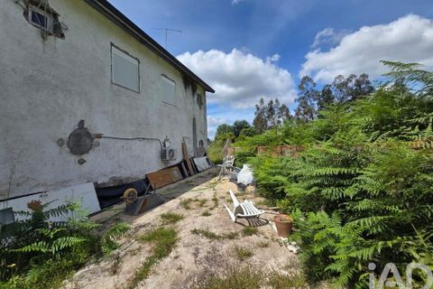 Byhus i Santa Comba Dao, Viseu, Santa Comba Dao - € 240.000 | Ref: 917775 - foto 4