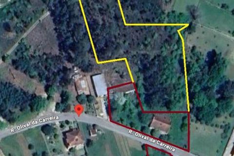Byhus i Santa Comba Dao, Viseu, Santa Comba Dao - € 240.000 | Ref: 917775 - foto 2