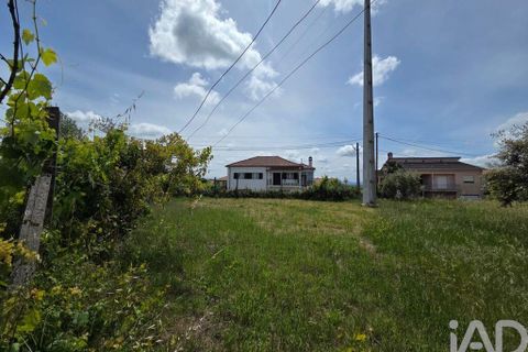 Byhus i Santa Comba Dao, Viseu, Santa Comba Dao - € 240.000 | Ref: 917775 - foto 23