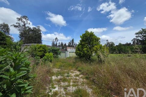 Byhus i Santa Comba Dao, Viseu, Santa Comba Dao - € 240.000 | Ref: 917775 - foto 27
