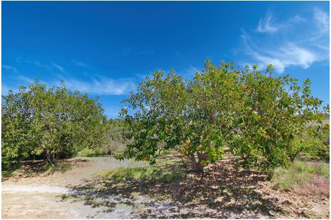 Landejendom i Manacor, Mallorca, Manacor - € 780.000 | Ref: G&P_001365 - foto 12