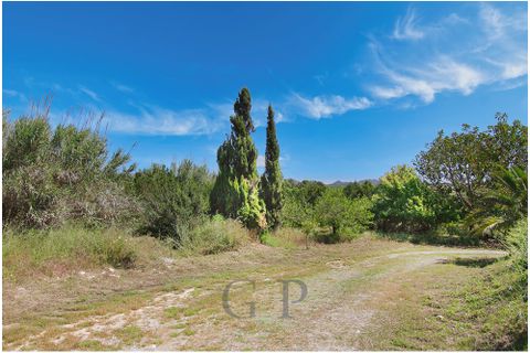 Landejendom i Manacor, Mallorca, Manacor - € 780.000 | Ref: G&P_001365 - foto 13