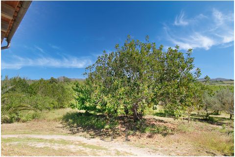Landejendom i Manacor, Mallorca, Manacor - € 780.000 | Ref: G&P_001365 - foto 15