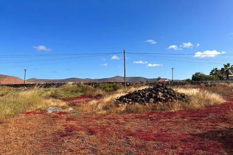 Tomt i Villaverde, Fuerteventura, Villaverde - € 125 000 | Ref: FV625 - foto 7