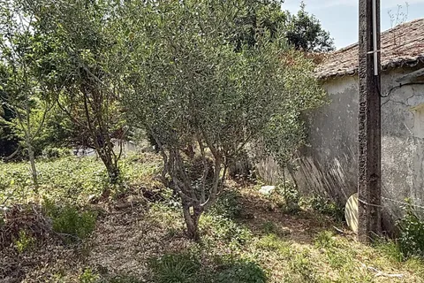 Farm hus i Mafra, Lisbon, Mafra - € 225.000 | Ref: TER-00001 - foto 2