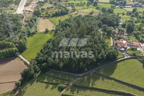 Helårsgrund i Vila Verde, Braga, Vila Verde - € 119.000 | Ref: A018-0186 - foto 1