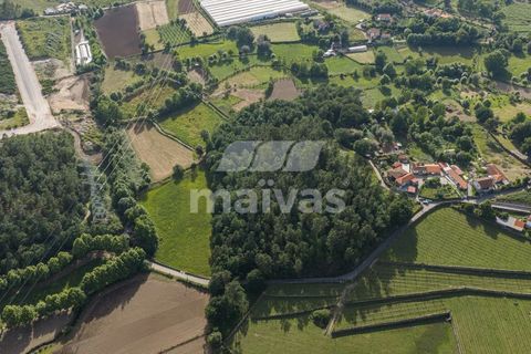Helårsgrund i Vila Verde, Braga, Vila Verde - € 119.000 | Ref: A018-0186 - foto 3