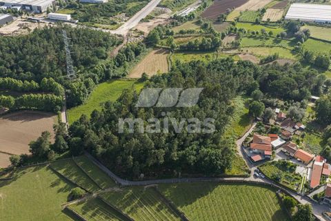 Helårsgrund i Vila Verde, Braga, Vila Verde - € 119.000 | Ref: A018-0186 - foto 4