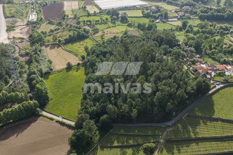 Helårsgrund i Vila Verde, Braga, Vila Verde - € 119.000 | Ref: A018-0186 - foto 5