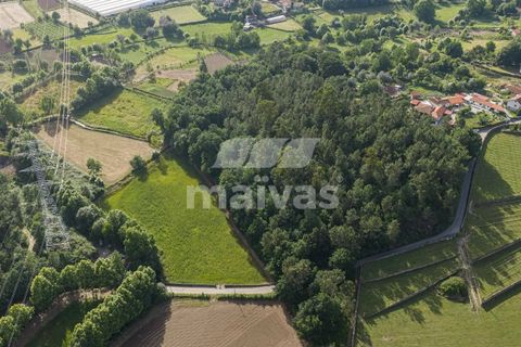 Helårsgrund i Vila Verde, Braga, Vila Verde - € 119.000 | Ref: A018-0186 - foto 6