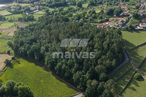 Helårsgrund i Vila Verde, Braga, Vila Verde - € 119.000 | Ref: A018-0186 - foto 7