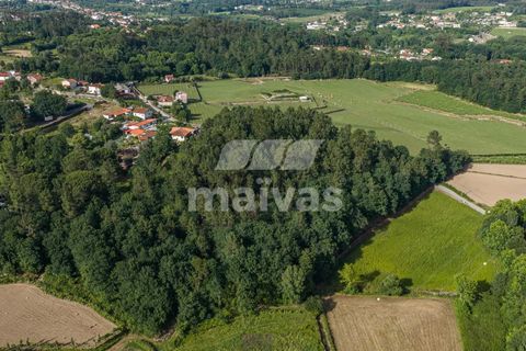 Helårsgrund i Vila Verde, Braga, Vila Verde - € 119.000 | Ref: A018-0186 - foto 9