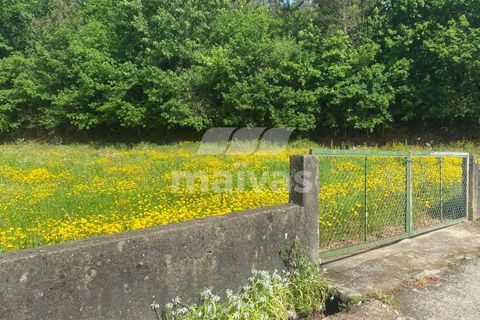 Helårsgrund i Vila Verde, Braga, Vila Verde - € 119.000 | Ref: A018-0186 - foto 13
