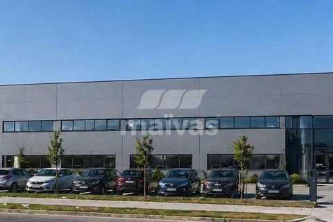 Helårsgrund i Braga, Braga, Braga - € 450.000 | Ref: A008-0178 - foto 11