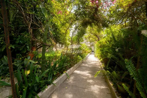 Villa i Valongo, Porto, Valongo - € 520.000 | Ref: A005-0029 - foto 6