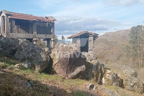 Helårsgrund i Ponte da Barca, Viana do Castelo, Ponte da Barca - € 22.500 | Ref: A053-4065 - foto 2