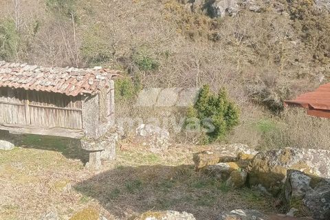Helårsgrund i Ponte da Barca, Viana do Castelo, Ponte da Barca - € 22.500 | Ref: A053-4065 - foto 15