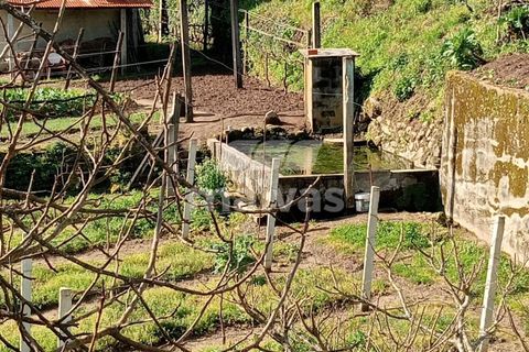 Helårsgrund i Ponte da Barca, Viana do Castelo, Ponte da Barca - € 85.000 | Ref: A053-4061 - foto 3