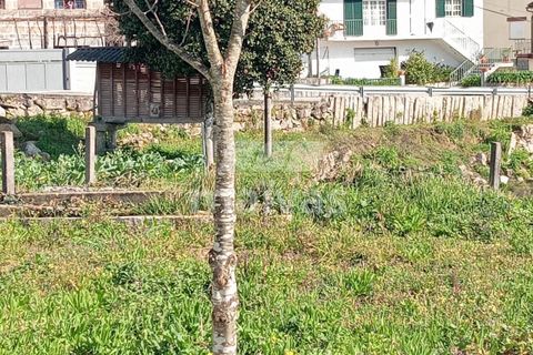 Helårsgrund i Ponte da Barca, Viana do Castelo, Ponte da Barca - € 85.000 | Ref: A053-4061 - foto 6