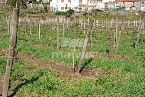 Helårsgrund i Ponte da Barca, Viana do Castelo, Ponte da Barca - € 85.000 | Ref: A053-4061 - foto 17