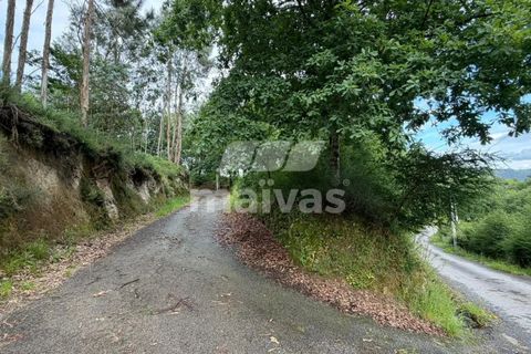 Helårsgrund i Vila Verde, Braga, Vila Verde - € 55.000 | Ref: A018-0192 - foto 2