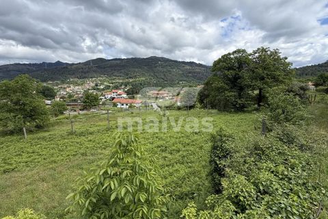 Helårsgrund i Ponte da Barca, Viana do Castelo, Ponte da Barca - € 57.500 | Ref: A053-4072 - foto 6