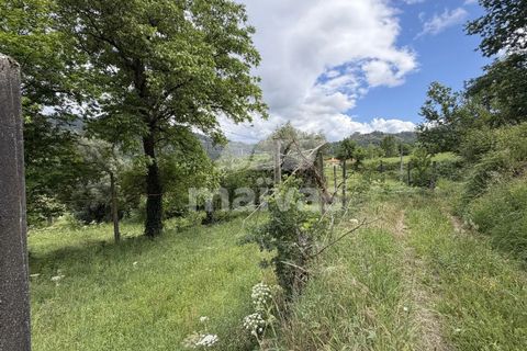 Helårsgrund i Ponte da Barca, Viana do Castelo, Ponte da Barca - € 57.500 | Ref: A053-4072 - foto 9